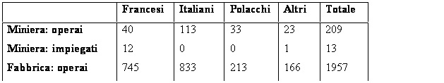 Casella di testo: Francesi Italiani Polacchi Altri Totale Miniera: operai 40 113 33 23 209 Miniera: impiegati 12 0 0 1 13 Fabbrica: operai 745 833 213 166 1957 Fabbrica:
impiegati 189 9 0 23 221 Totale 986 955 246 213