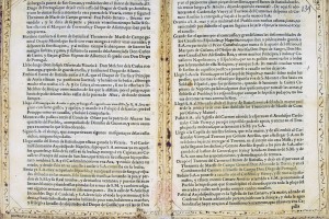 “Sollevazione di Tommaso Aniello di Napoli”. Manoscritto A. Molini (Biblioteca Universitaria di Bologna, ms. 2466). Storicamente.org
Copyright © Alma Mater Studiorum Università di Bologna – Biblioteca Universitaria di Bologna. All rights reserved. È vietata la riproduzione o duplicazione con qualsiasi mezzo.