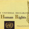 Riflessioni sui diritti umani