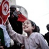 La rivoluzione tunisina dei gelsomini. La primavera araba e la globalizzazione della politica