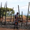 Cinquant'anni di guerra e conflitti nella regione del Rwenzori dell'Uganda: Stati, regni e milizie