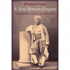 M’hamed Oualdi, “A Slave between Empires"