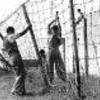 L’internamento degli italiani nel campo di Gross-Rosen (Slesia 1940-1945)