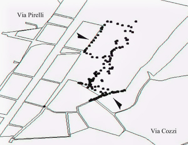 Figura 9. Tracciato registrato nell'area di Milano Bicocca.